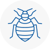 Bed Bug Extermination In Sompting