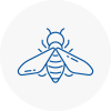 Bee Nest Removal Sompting