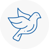 Bird Prevention Sompting