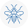 Sompting Hornet Nest Removals