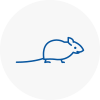 Mice Exterminators In Sompting