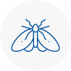 Moth Control Specialists In Sompting