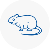Rat Control Sompting