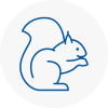 Sompting Rodent Removals