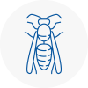 Sompting Wasp Nest Removal